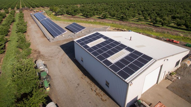 Aerial view of a white industrial building with solar panels on its roof, situated next to additional solar panel arrays in a rural agricultural area with rows of trees, possibly benefiting from the USDA REAP Grant.