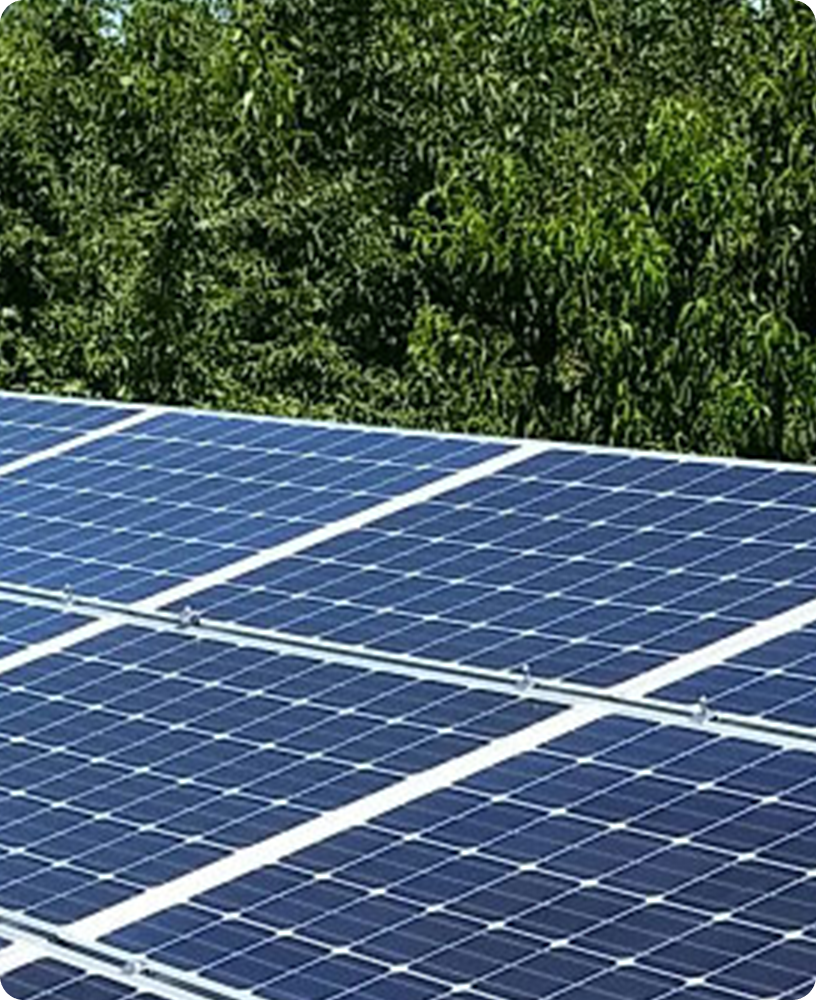 Solar Energy Solutions: Solar panels installed in an outdoor setting with a background of dense green foliage.