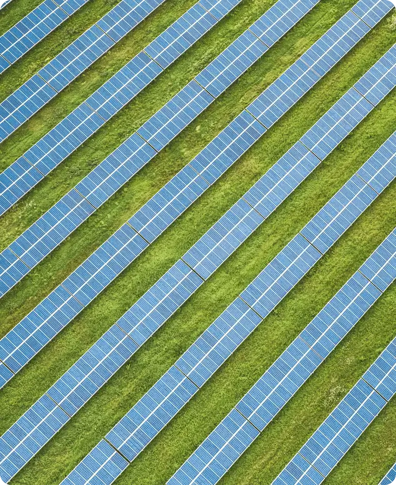 Solar panels arranged on green grass field.
