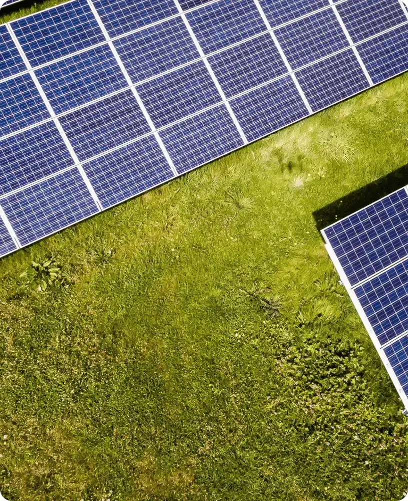 Solar panels on grassy field, aerial view.